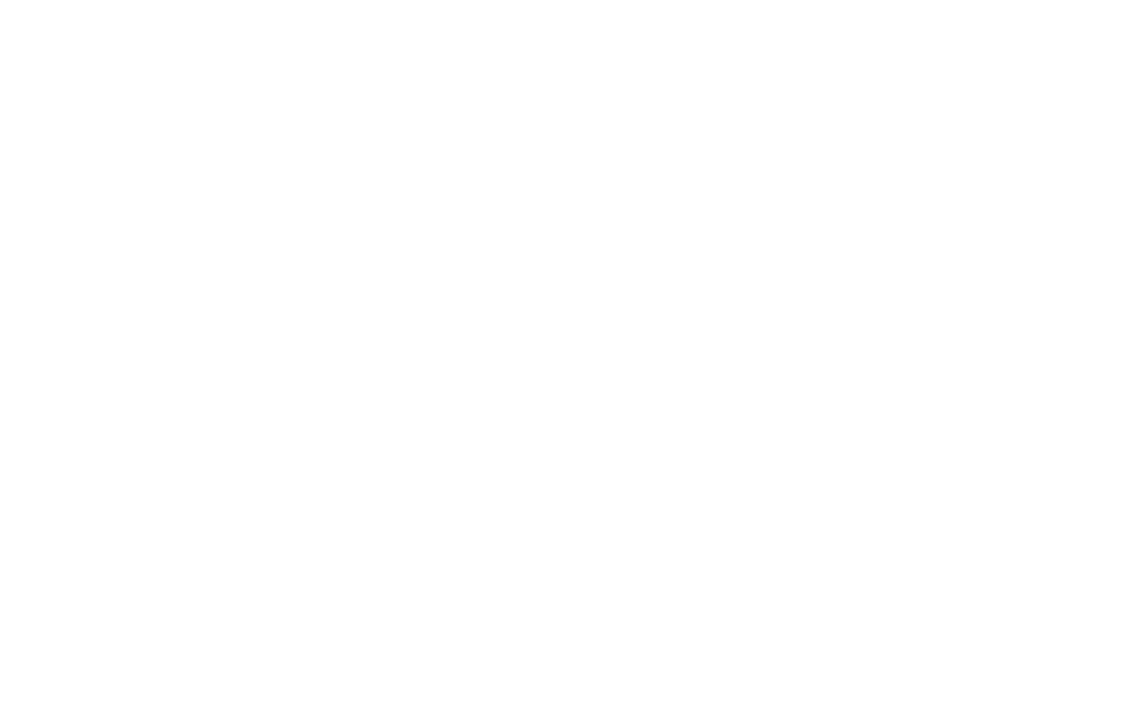 Let's Elevate Your Branding + Website!